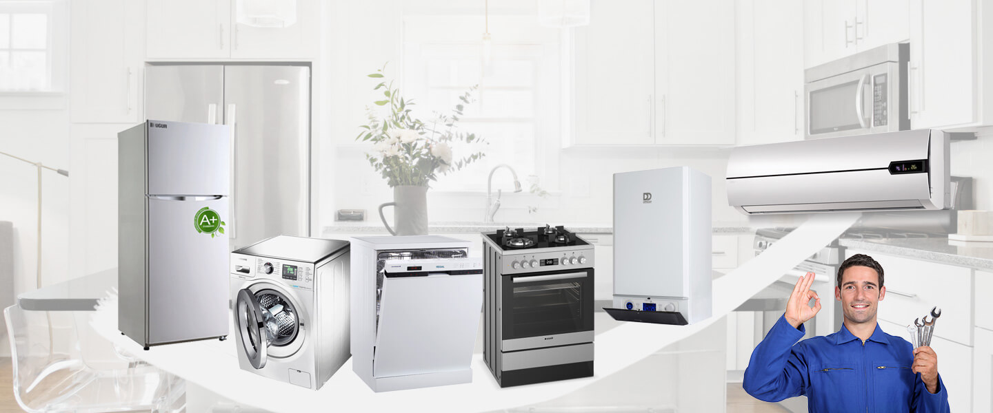 Haymana Gorenje Servisi